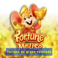 fortuna do grupo colorado