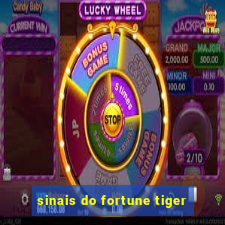 sinais do fortune tiger