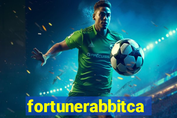 fortunerabbitcasino.online