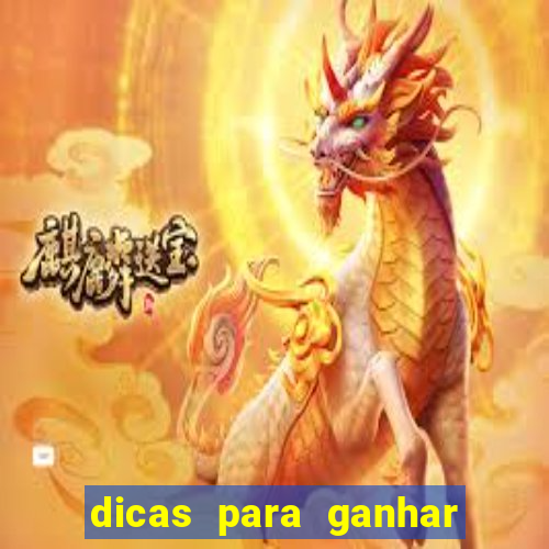 dicas para ganhar no fortune rabbit