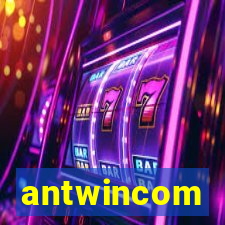 antwincom