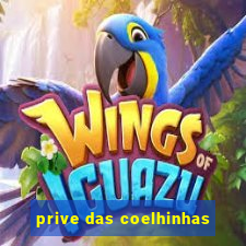 prive das coelhinhas