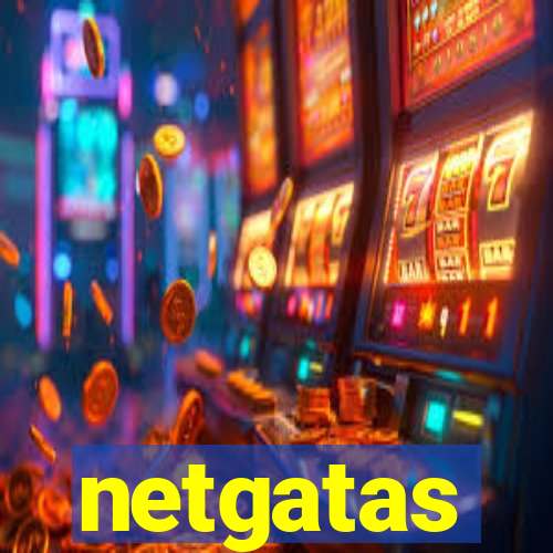 netgatas