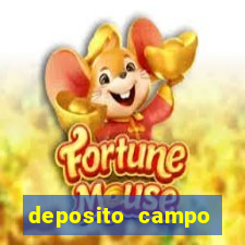 deposito campo grande santos