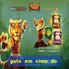 gato em cima do telhado significado espiritual