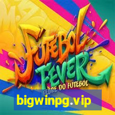 bigwinpg.vip